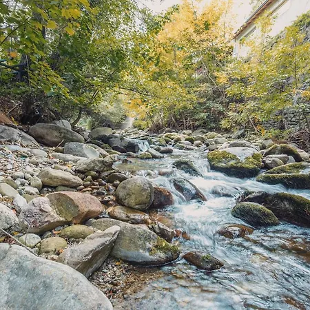 маришки дол بيت للعطل